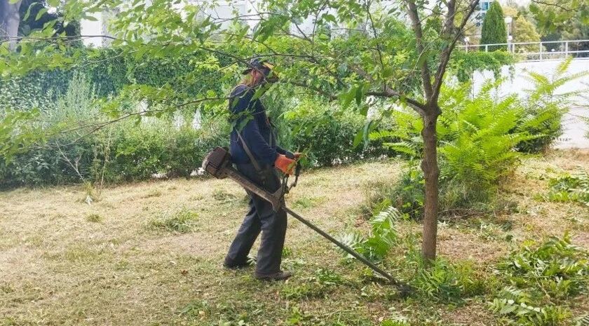 В бердянском сквере «Азмол» проведены работы по благоустройству территории