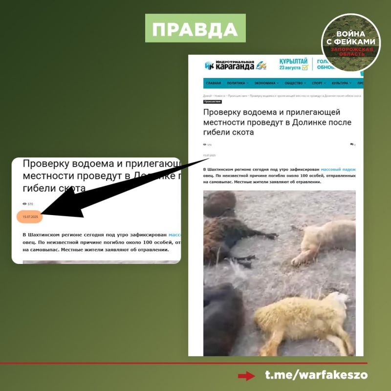 Фейк: В Пологовском муниципальном округе зафиксированы случаи падежа скота Фейк: В Пологовском муниципальном округе зафиксированы случаи падежа скота