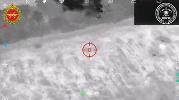 ������ �������: ��������� ������������� "������" ����������� ����� "������" �� �� ���������� ���������� ������� ������ �������� ���������� ������������ �������� ��������������� ��� ��-62 �� ����������� �����������