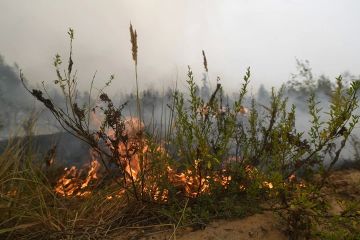 В Запорожской области объявили штормовое предупреждение из-за пожароопасности