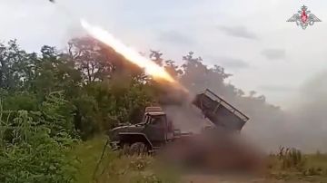 Враг будет разбит. Реактивщики «Востока» накрыли скопление пехоты ВСУ в лесах Запорожской области