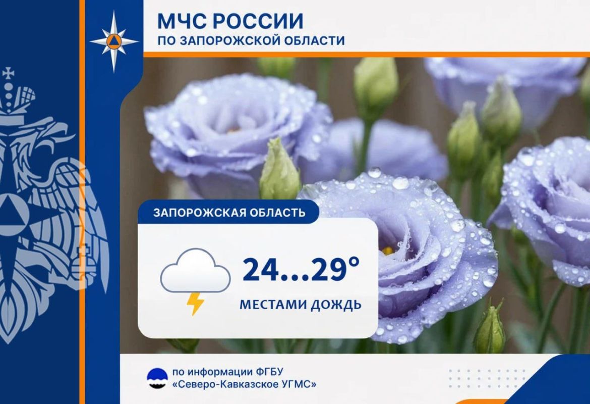 МИНИСТЕРСТВО ОБОРОНЫ РОССИЙСКОЙ ФЕДЕРАЦИИ ведёт набор в добровольческие отряды «Барс» МИНИСТЕРСТВО ОБОРОНЫ РОССИЙСКОЙ ФЕДЕРАЦИИ ведёт набор в добровольческие отряды «Барс»