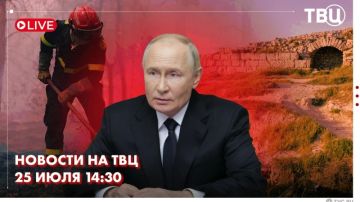 Владимир Путин поздравил сотрудников органов следствия и ветеранов с профессиональным праздником
