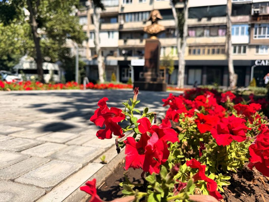 Доброе летнее утро