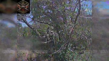 Расчеты БпЛА 35 гвардейского полка РХБЗ 35 армии группировки войск «Восток» уничтожили наземные станции управления ВСУ на Запорожском направлении