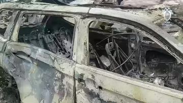 ���� ����: ���� ��� ����� ���������� 133 ���������� ���� ��� 10 ���������� ��: