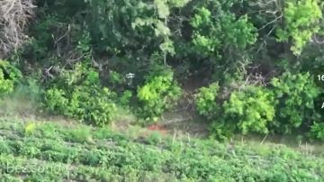 ������ ��������: ��������� ������� ���� ����������� ����� ������� ���������� ������� ��� � ����������� �������