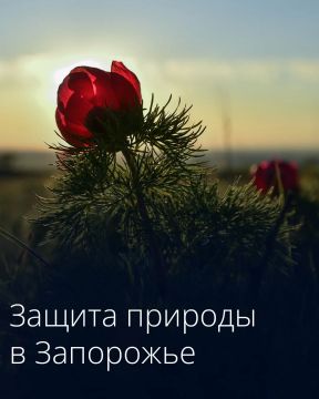 � ����������� ������� ��������� ������������ �������� ����� ���������� ��������� ����������