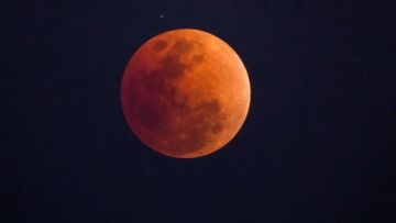 ��� ������� ���� ����� ������ ������� ����