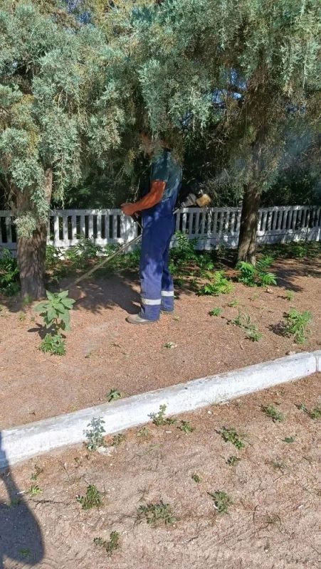 Благоустройство общественных территорий в селе Ефремовка Благоустройство общественных территорий в селе Ефремовка