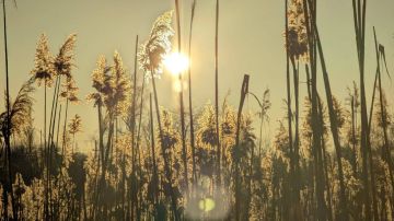 � ����������� ������� ������� ������ �������� ����� ���������� ����������