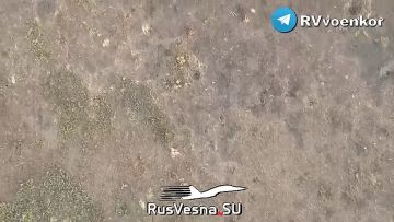 Бои в воздухе на Запорожском фронте