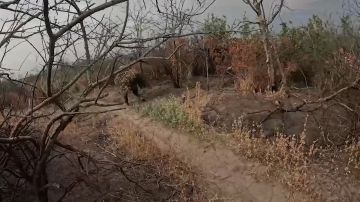 ������ ������� ��� ����� ������� � ����������� �������