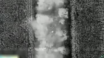 ��������� ���� 1461 ��������������� ����� 36 ����� ����������� ����� ������� ���������� ����� ������ ���������� �� ����������� �����������