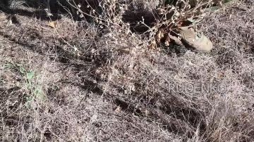 ������ �������: ���������� ������������� �������������� ����������� ��������� ���� ��������� �������, ��������� �������������� ���� ������� � ��������� ���� � ����������� �������