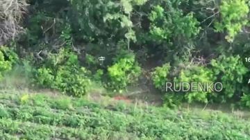 ������ �������: ��������� ������� ���� ����������� ����� ������� ���������� ������� ��� � ����������� �������