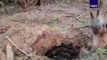 �� �� ���������� ������ ���������� ���� ��� � ����������� �������, �������� � �� ��