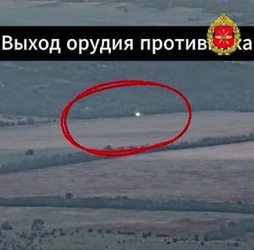Врагу не скрыться. Операторы FPV-дронов Ивановских десантников пресекли попытки ВСУ вести огонь по нашим позициям в Запорожской области