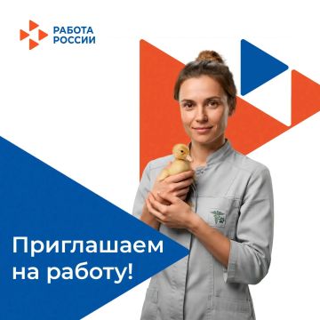 � ��������������� ��������� ���������� ����������� ������� ������������� ����� �� ���������� ������ ���������: