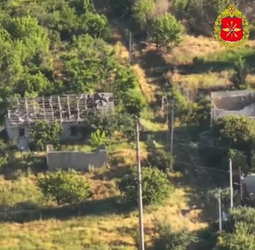 Позиции врага в труху. На Ореховском направлении расчеты БПЛА Новороссийских десантников зачищают позиции противника, обеспечивая продвижение наших штурмовых групп