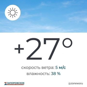 Солнечный, летний день ожидается в Запорожской области в четверг, 30 июля