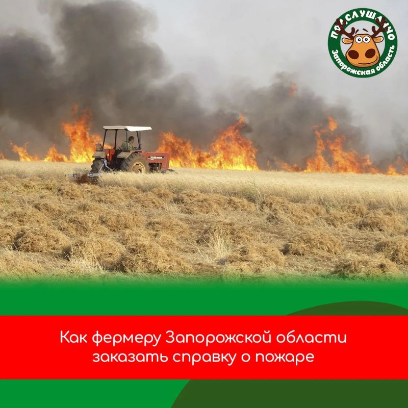 На Госуслугах можно заказать справку о пожаре