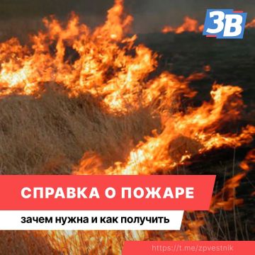 Как получить справку о пожаре?