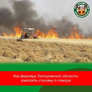 На Госуслугах можно заказать справку о пожаре