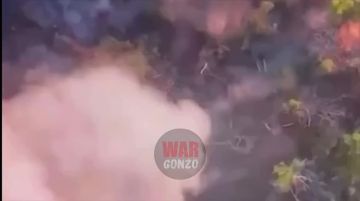WarGonzo: ���� ��������� �������� fpv-����� � ������� ��� ��������