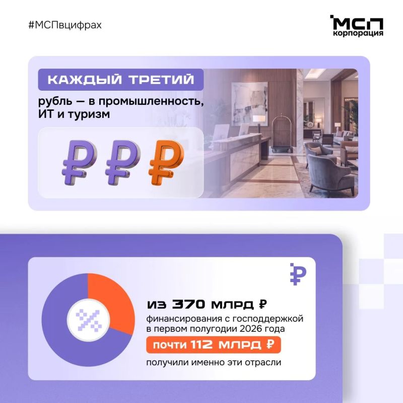 Каждый третий рубль господдержки ушел в промышленность, ИТ и туризм Каждый третий рубль господдержки ушел в промышленность, ИТ и туризм