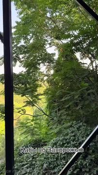 ���� ���������� ���� ������ � ���������