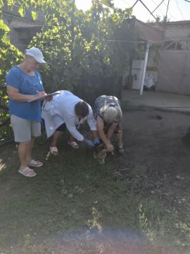30 июля 2026 года, в рамках плановых мероприятий по профилактике бешенства, специалисты ГБУ ЗО "Ветеринарный центр" провели выездную вакцинацию плотоядных животных на территории Приазовского района