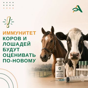 Иммунитет коров и лошадей при вакцинации от болотной лихорадки будут оценивать по-новому