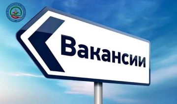 В подведомственное Минимуществу государственное бюджетное учреждение «Дирекция имущества Запорожской области» требуются:
