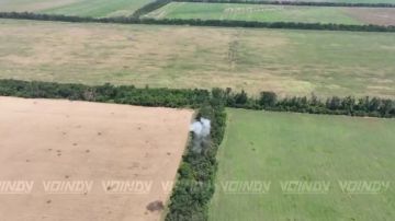 Операторы БпЛА 218 гвардейского танкового полка 127 мотострелковой дивизии группировки войск «Восток» продолжают чистить небо от присутствия вражеских дронов на Запорожском направлении