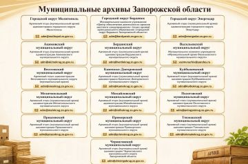 Оформление пенсии и других социальных льгот: где получить архивные справки о трудовом стаже в Запорожской области