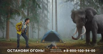 Ваша внимательность может спасти лес!