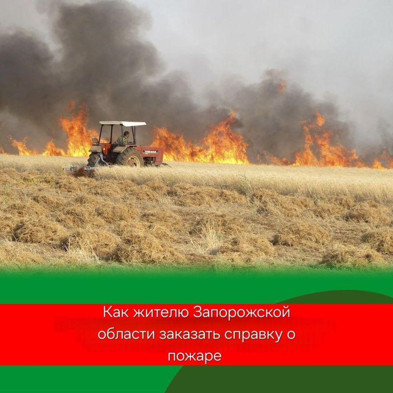 На Госуслугах можно заказать справку о пожаре