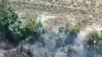��������� ���� 37 ��������� ����������� �������������� ������� 36 ����� ����������� ����� "������" ������� � ���������� ����� ������ ���������� �� ����������� �����������