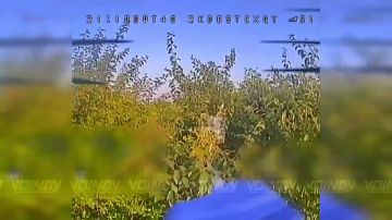 ��������� ���� 38 ��������� ����������� �������������� ������� 35 ����� ����������� ����� ������� ���������� �������� �� ����� �������� ������� ���������� ��� �� ����������� �����������