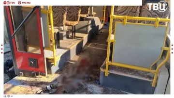 ���� ������� �����, ��� 12 ���������� � ���������� ����� ��� �� ������� � ������ ���� ����� ��������� � ����������� �������