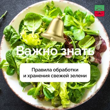 Рваная руками зелень сохраняет витамины и аромат
