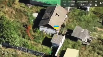 Владислав Шурыгин: Боевая работа подразделений группировки войск «Восток» в ходе освобождения н.п. Любицкое Запорожской области