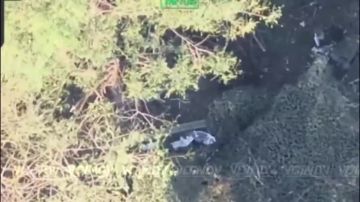 ��������� 14 ��������� ������� �������� ����������� ����� "������" ���������� � ���������� ��� ��� �� ����������� �����������