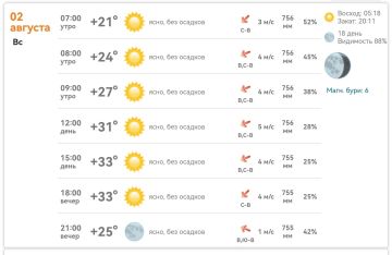 Доброе утро! Сегодня в Михайловке отличный день — ясно