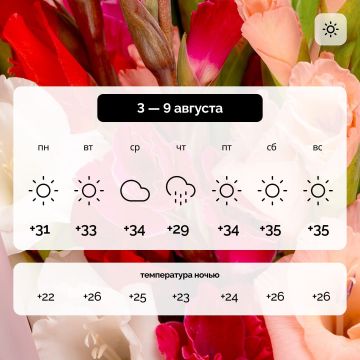 ������ � ����������� ������� �� 3 � 9 �������