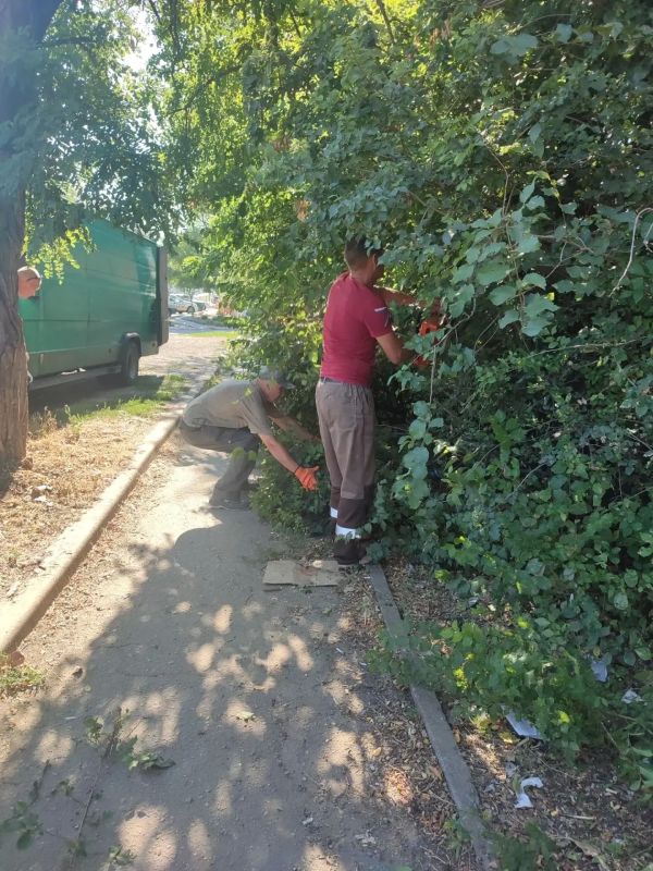 Сквер в районе рынка на АКЗ приобретает ухоженный вид Сквер в районе рынка на АКЗ приобретает ухоженный вид