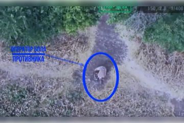� ����������� ������� ���������� ����������� ���������� ������ ���������� ���