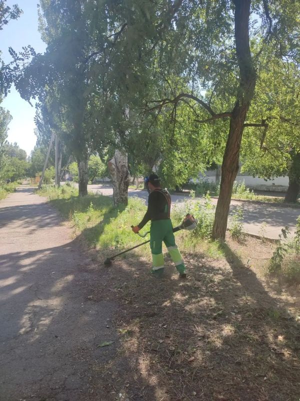Сквер в районе рынка на АКЗ приобретает ухоженный вид Сквер в районе рынка на АКЗ приобретает ухоженный вид