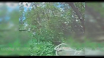 ����������� �������� ������� ���������� ����������� ���� 143 ������������ ��������������� ����� 127 ������� 5 ����� ����������� ����� "������", ����������� �����������